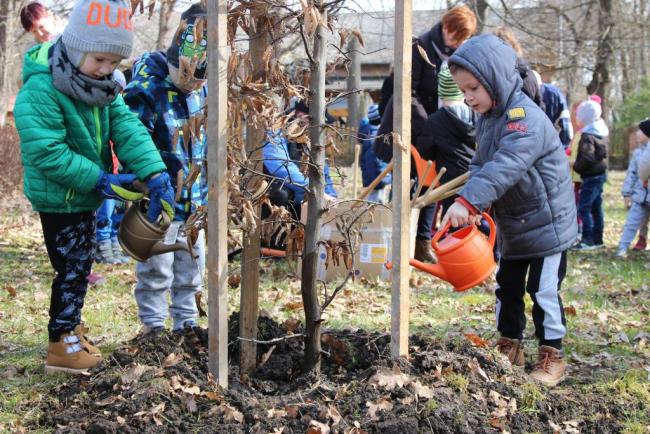 Százszorszép Ovisok faültetése a helyi Erzsébet Ligetben