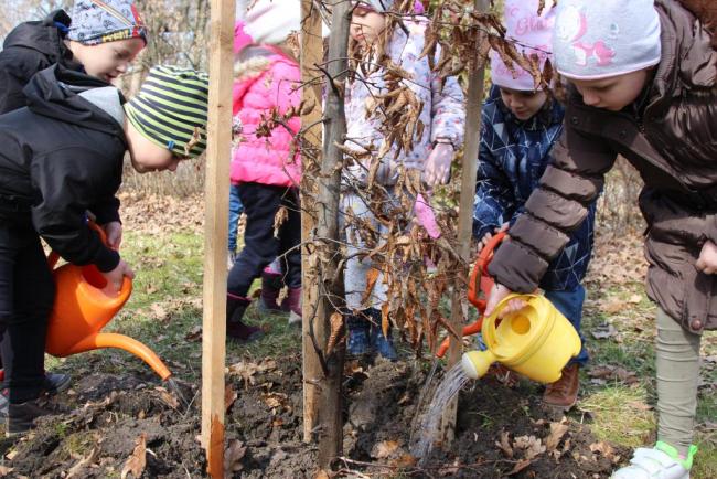 Százszorszép Ovisok faültetése a helyi Erzsébet Ligetben