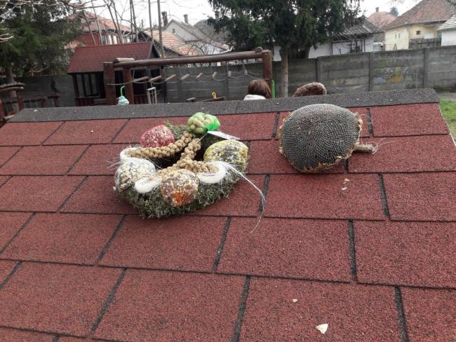 "Mi kell neked? Fatető, fatető, deszka madáretető!"