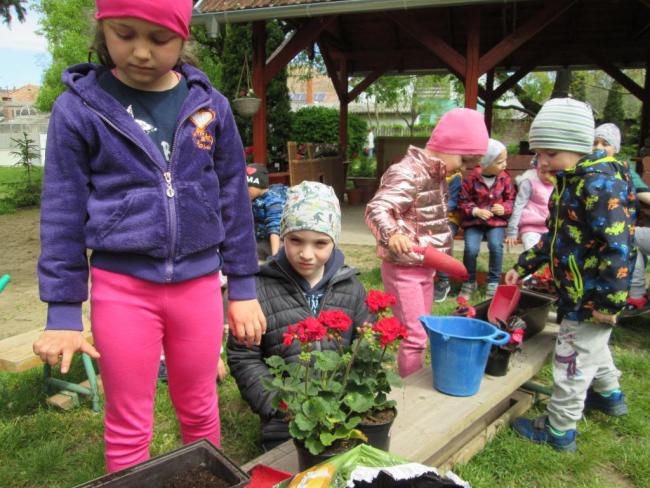 Föld napja a Százszorszép Óvodában 2021.