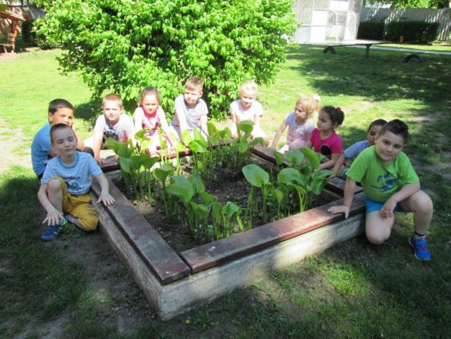 Föld napja a Százszorszép Óvodában 2021.