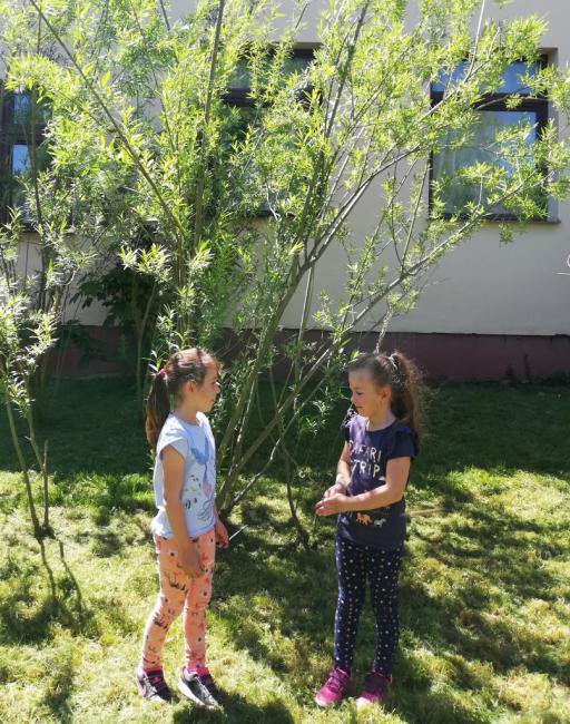 "Mit szeretünk? Játszani! Fűből ki sem látszani!" Százszorszép Óvoda 2021. tavaszi életképek