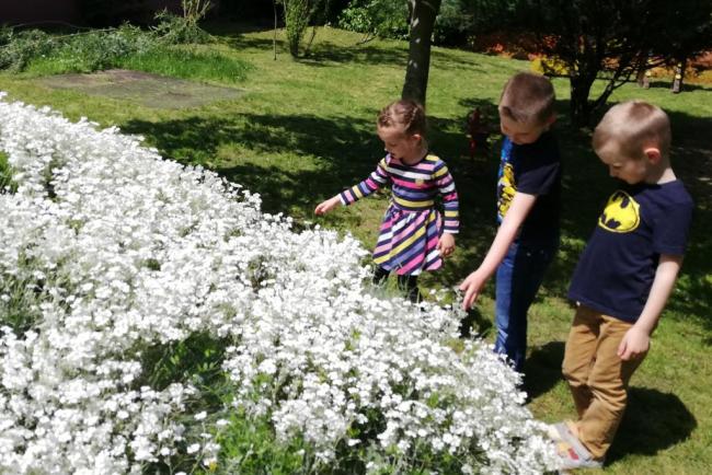 "Mit szeretünk? Játszani! Fűből ki sem látszani!" Százszorszép Óvoda 2021. tavaszi életképek