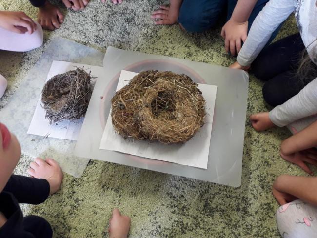 Madarak és Fák napja a Margaréta Óvodában 2021.