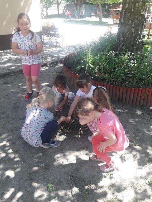 Madarak és Fák napja a Margaréta Óvodában 2021.