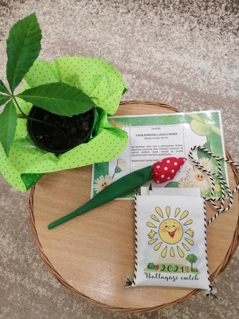 Ballagási Ünnepség - Csemetekert Óvoda 2021.05.28.