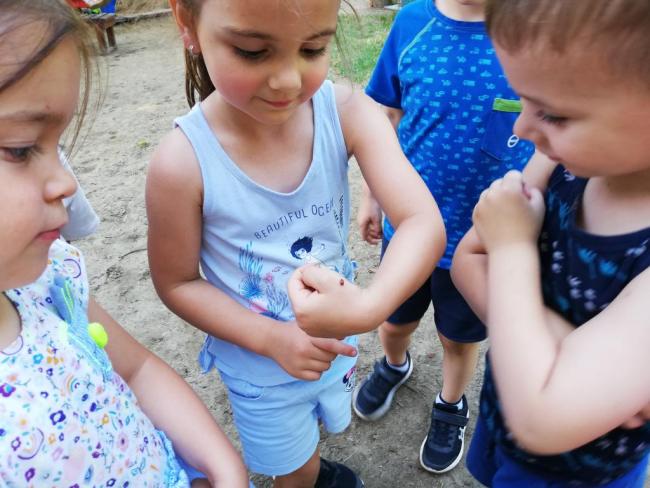 Vidám nyári élet a Százszorszép Óvodában 2021.