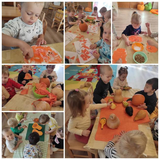 Környezeti nevelés